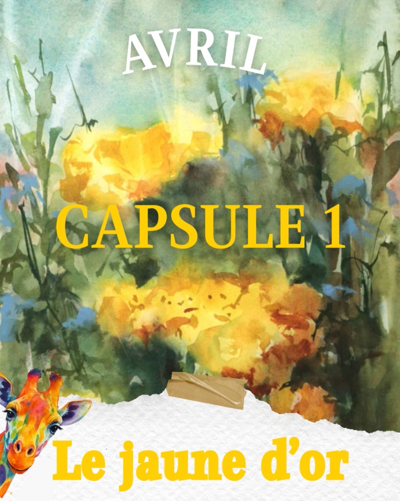 illustration CAPSULE 1