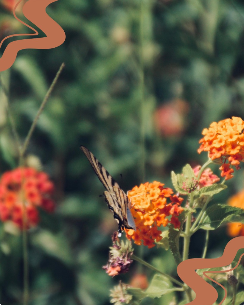 illustration Les énergies du printemps