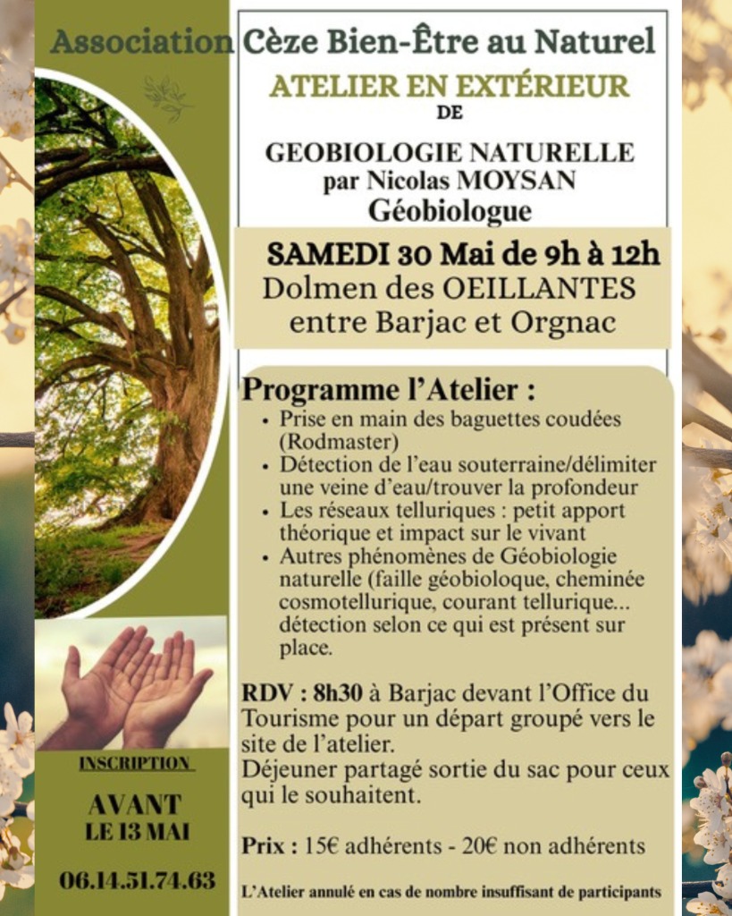 illustration Atelier Géobiologie Naturelle🌿✨