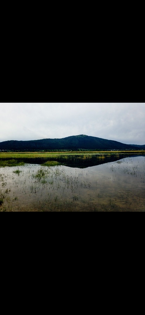 illustration Addictions