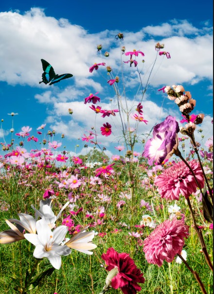 illustration 🌸 Le printemps, saison du renouveau — un moment idéal pour prendre soin de soi !