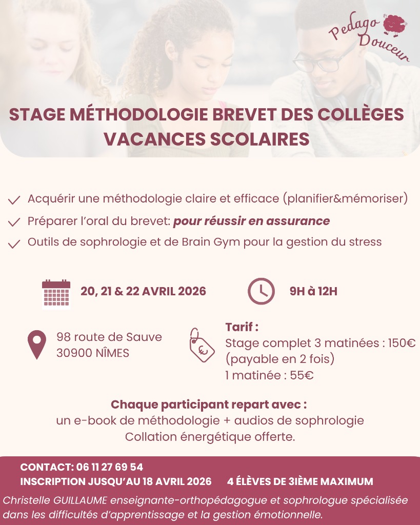 illustration STAGE MÉTHODOLOGIE BREVET DES COLLÈGES