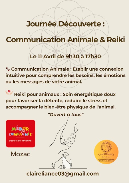 illustration Communication Animale et Reiki animaux chez Médor et Compagnie MOZAC