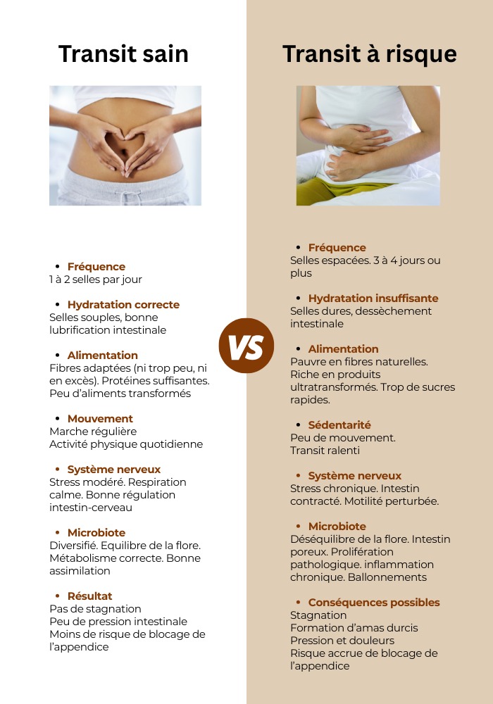 illustration La santé commence dans l'intestin