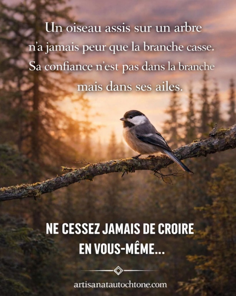 illustration Confiance et SOI