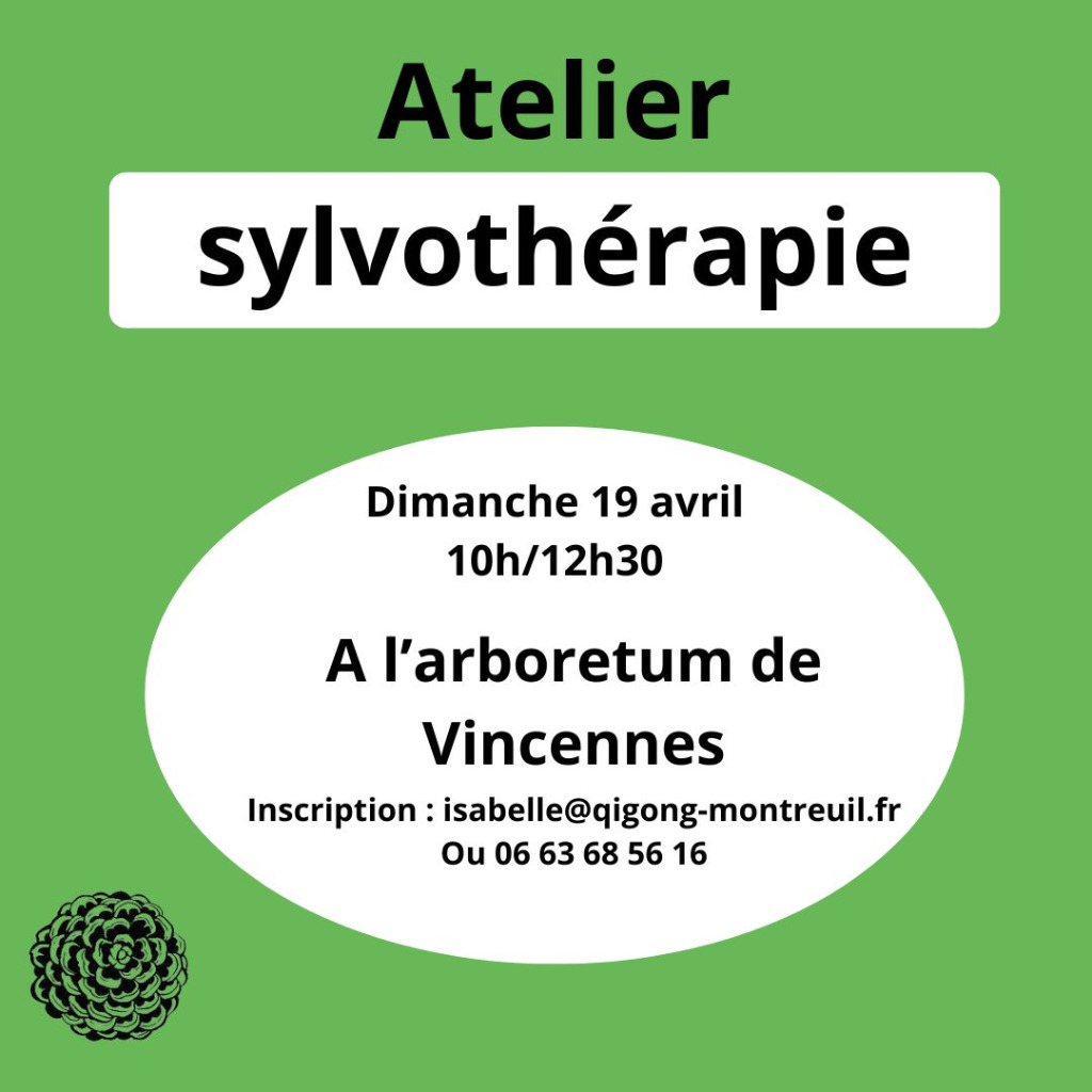 illustration Connexion à l'énergie des arbres.