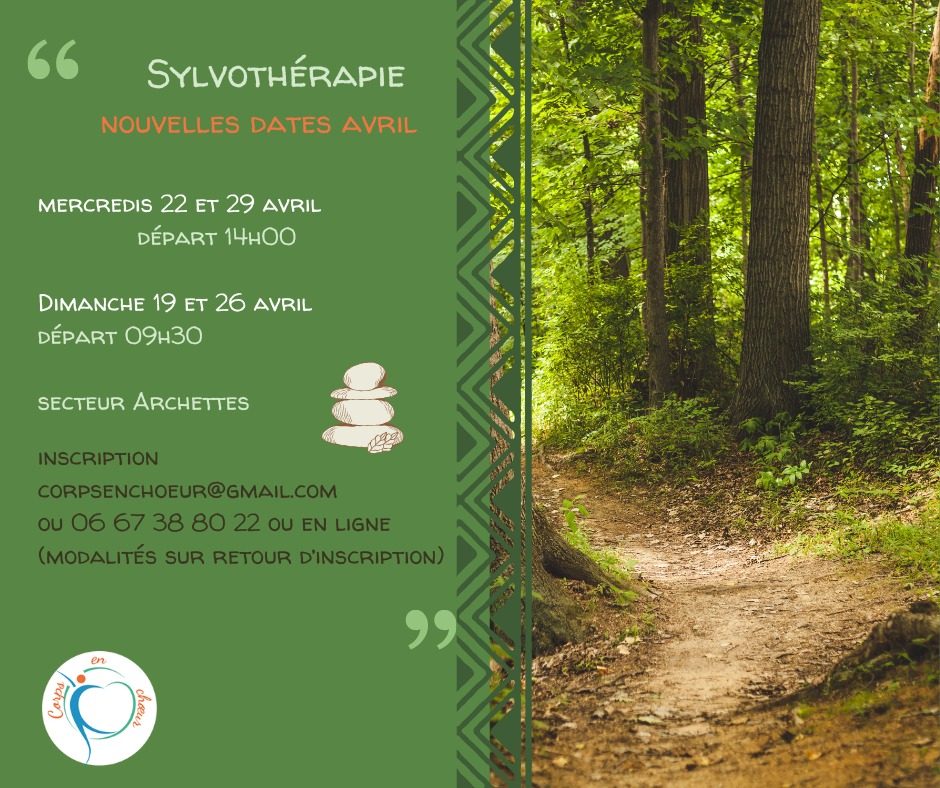 illustration Sylvothérapie secteur Archettes Vosges