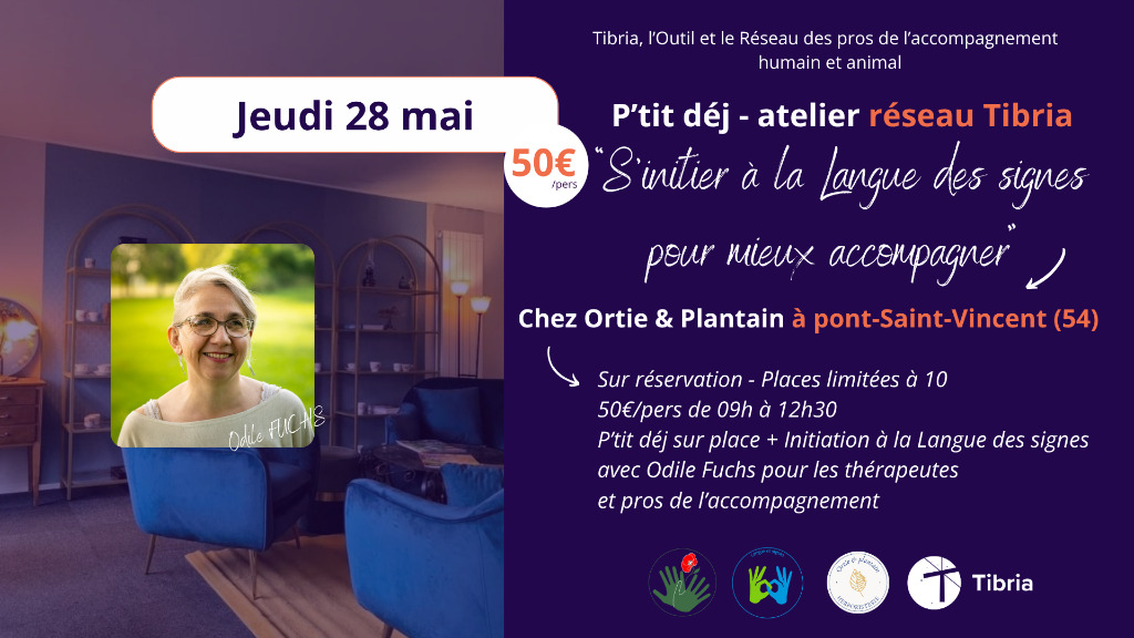 illustration S'initier à la langue des signes pour mieux accompagner