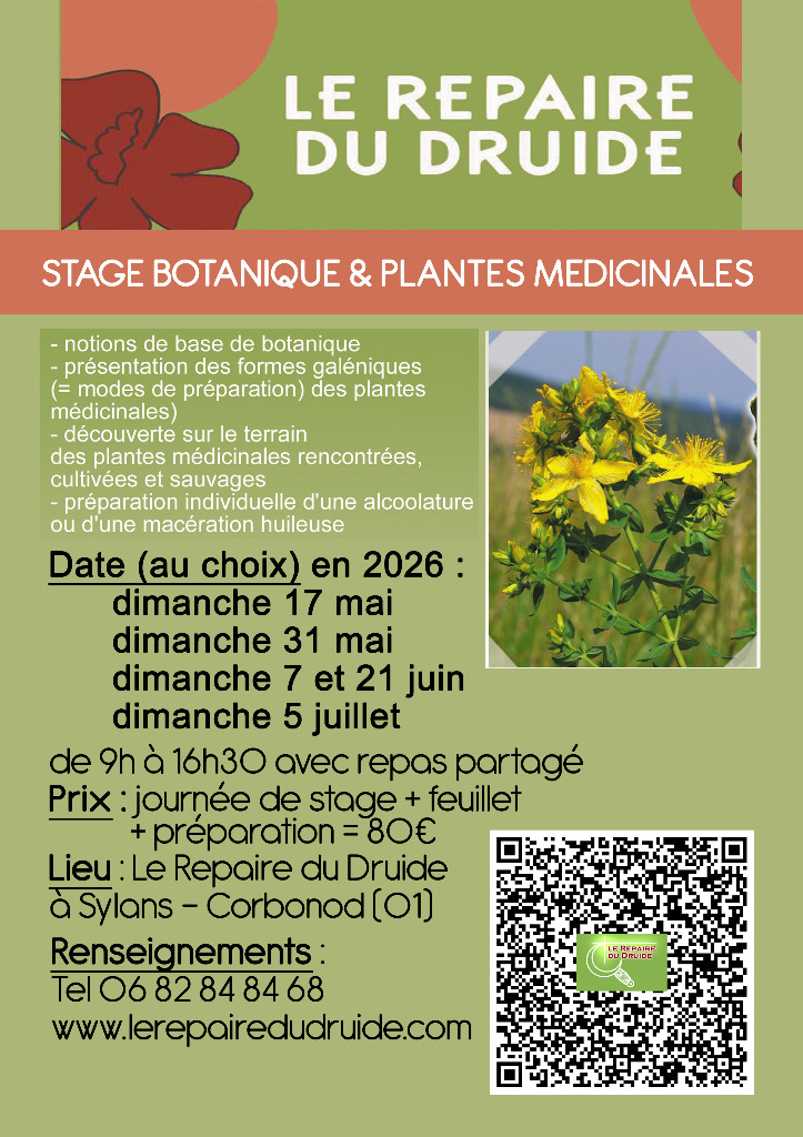 illustration Botanique et plantes médicinales