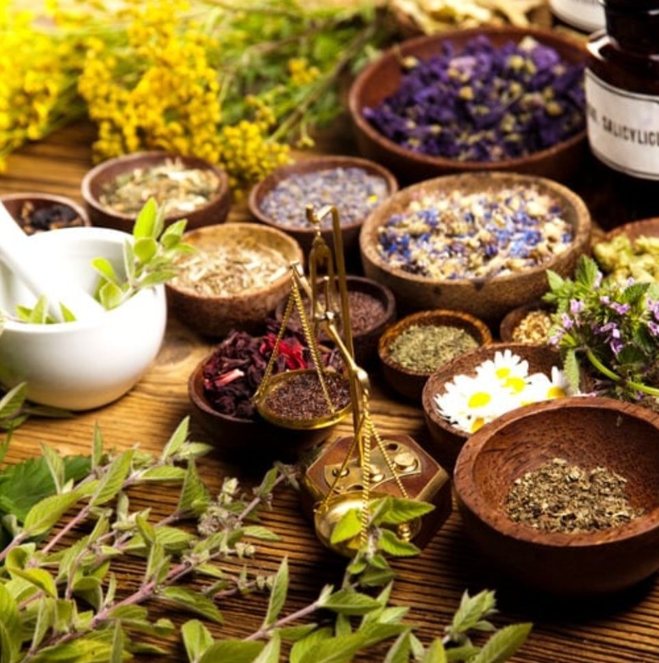 illustration De la plante au principe actif