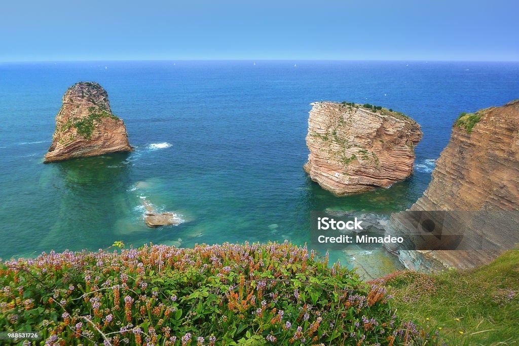 illustration Retrouver son souffle avec le printemps