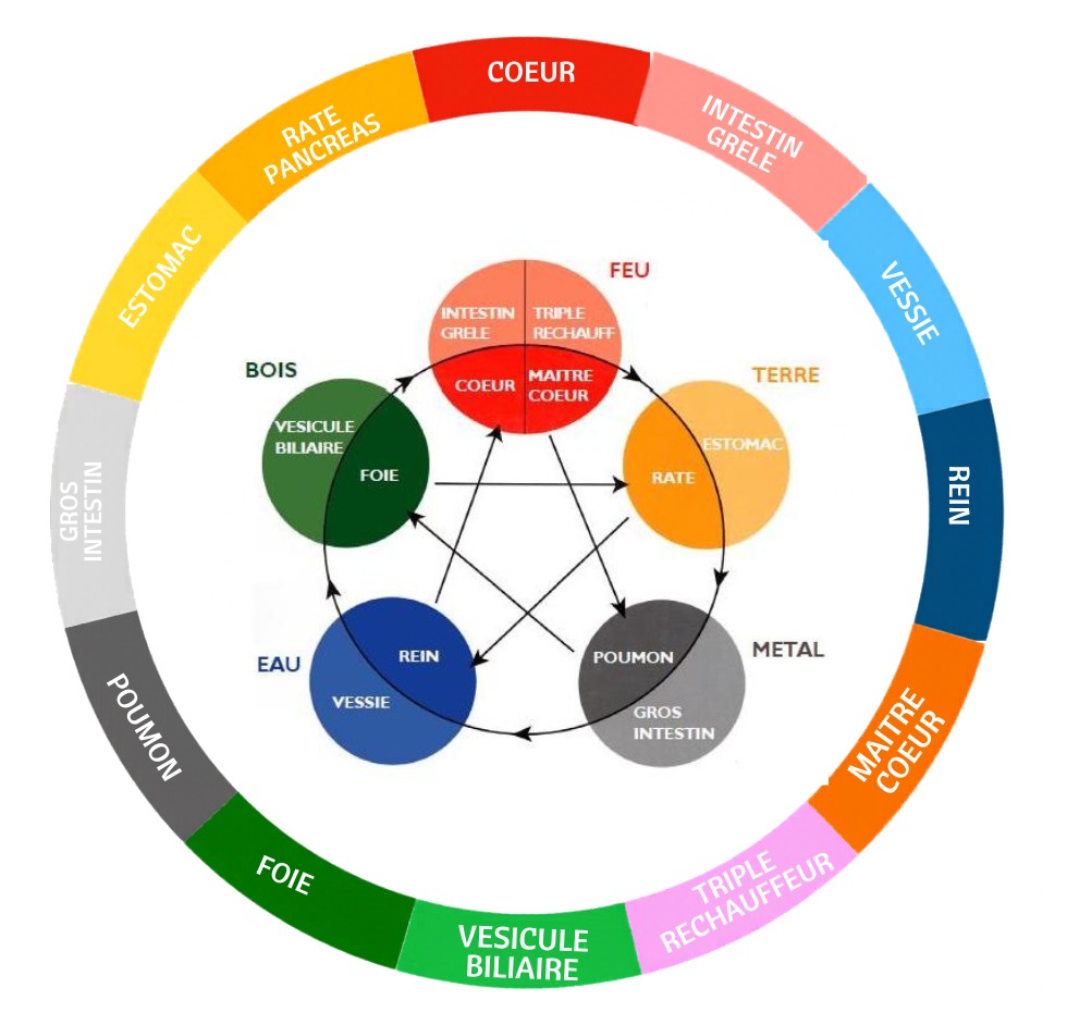 illustration Touch For Health®