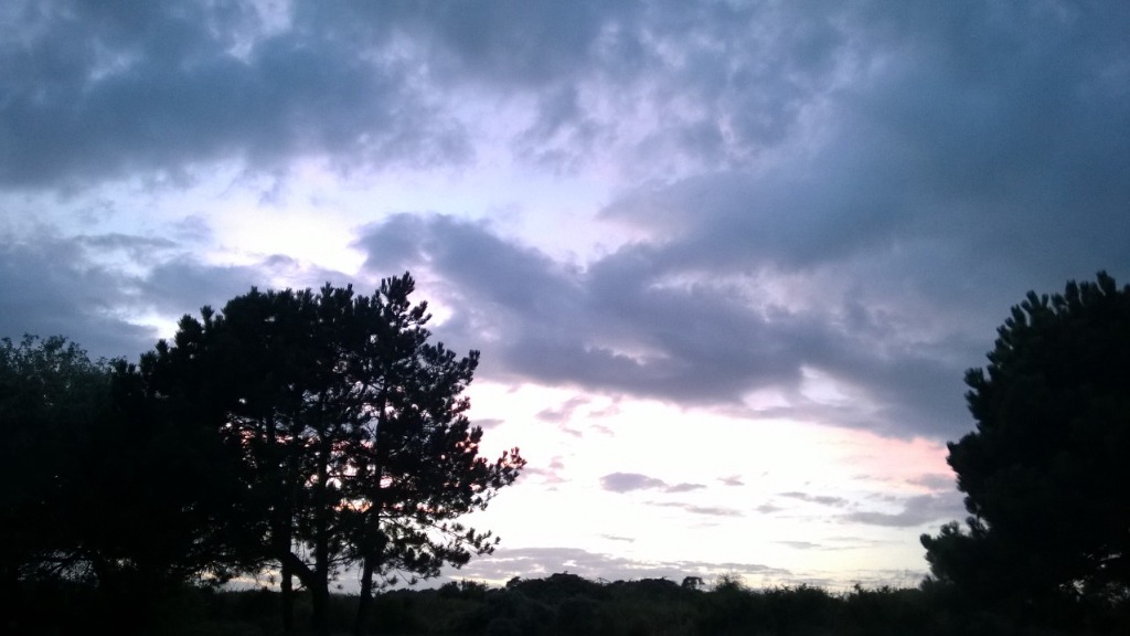 illustration Ombre ou Lumière vendredi 1er mai