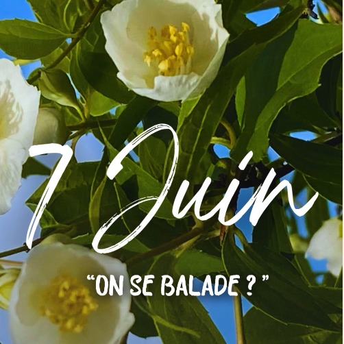 illustration Et si on se bloquait un joli moment ensemble ?