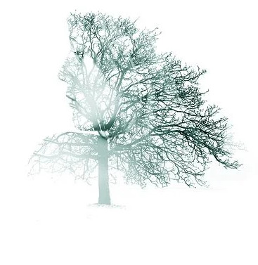 illustration Prendre soin de ces racines