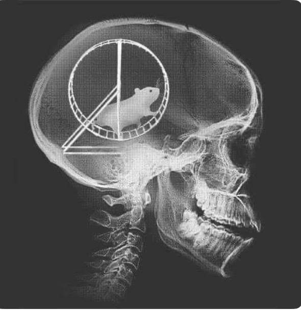 illustration L’illusion du mouvement 🌀