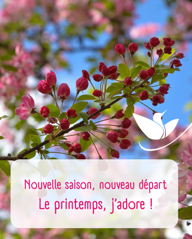 illustration Nouvelle saison, nouveau départ : Le Printemps, j'adore !