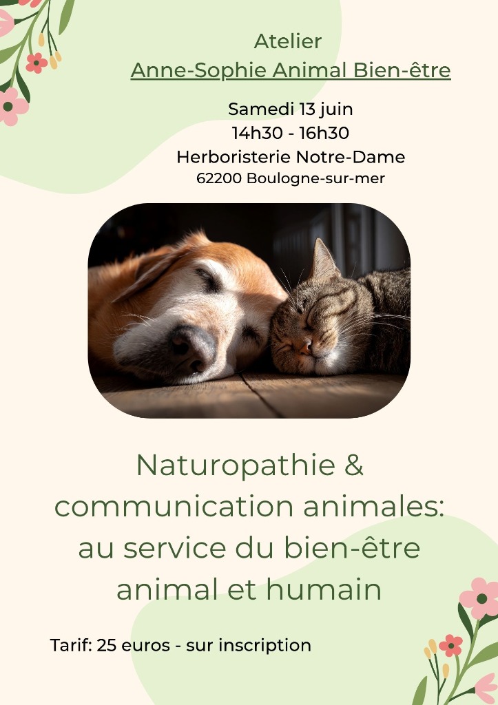illustration Naturopathie et communication animales: au service du bien-être animal et humain