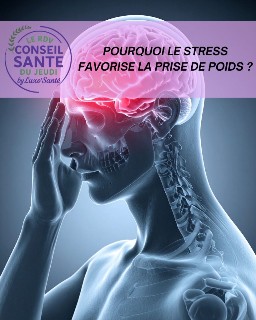 illustration POURQUOI LE STRESS FAVORISE LA PRISE DE POIDS ?