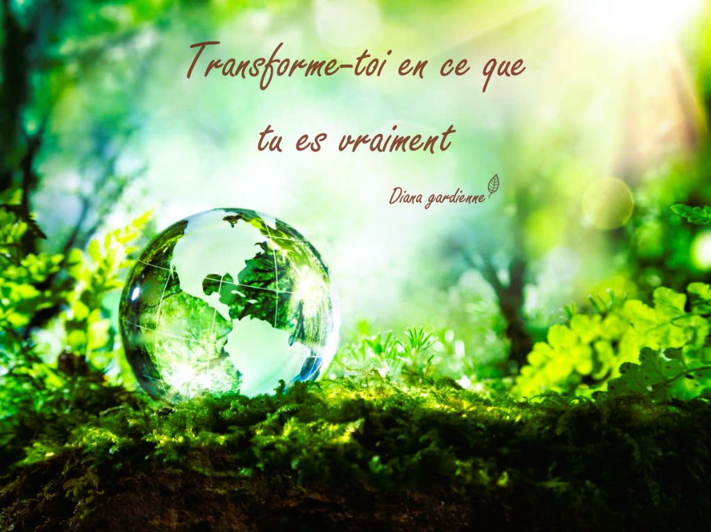 illustration Transformation vers son véritable soi
