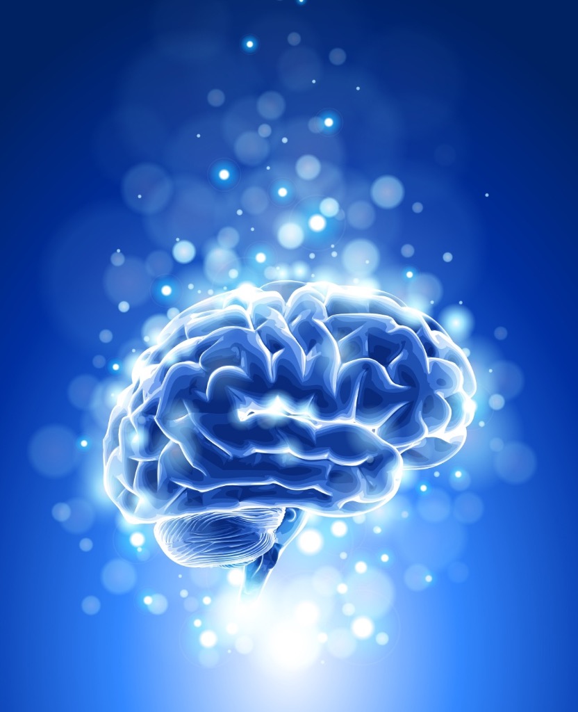 illustration Le Burn-Out ou l'effondrement du Néocortex
