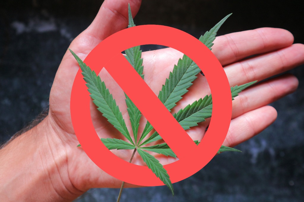 illustration Coaching et auriculotherapie au laser doux : une approche globale pour se libérer du tabac et du cannabis