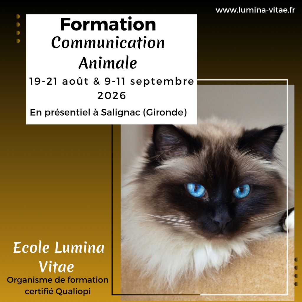 illustration Formation en communication animale