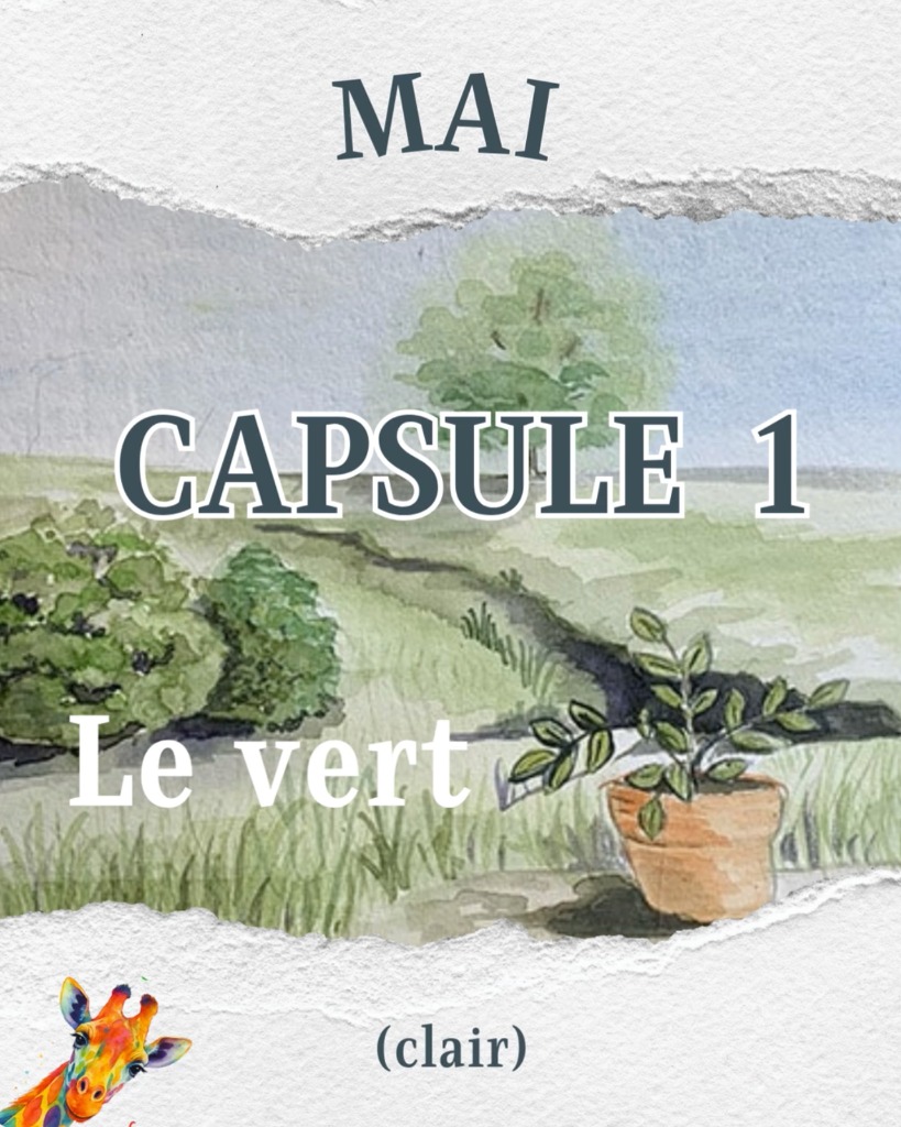 illustration CAPSULE 1