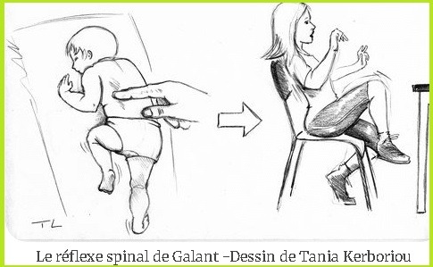 illustration Je m'appelle Galant