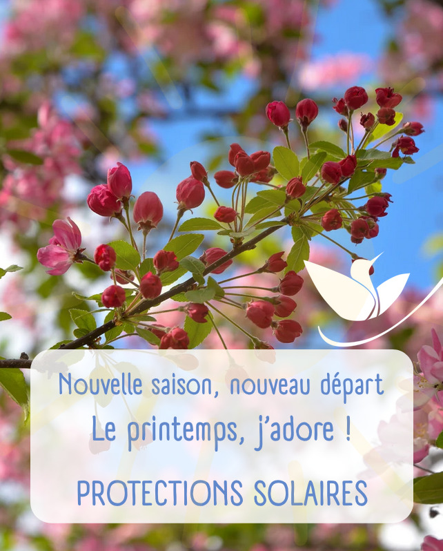 illustration Les protections solaires...dès le printemps !