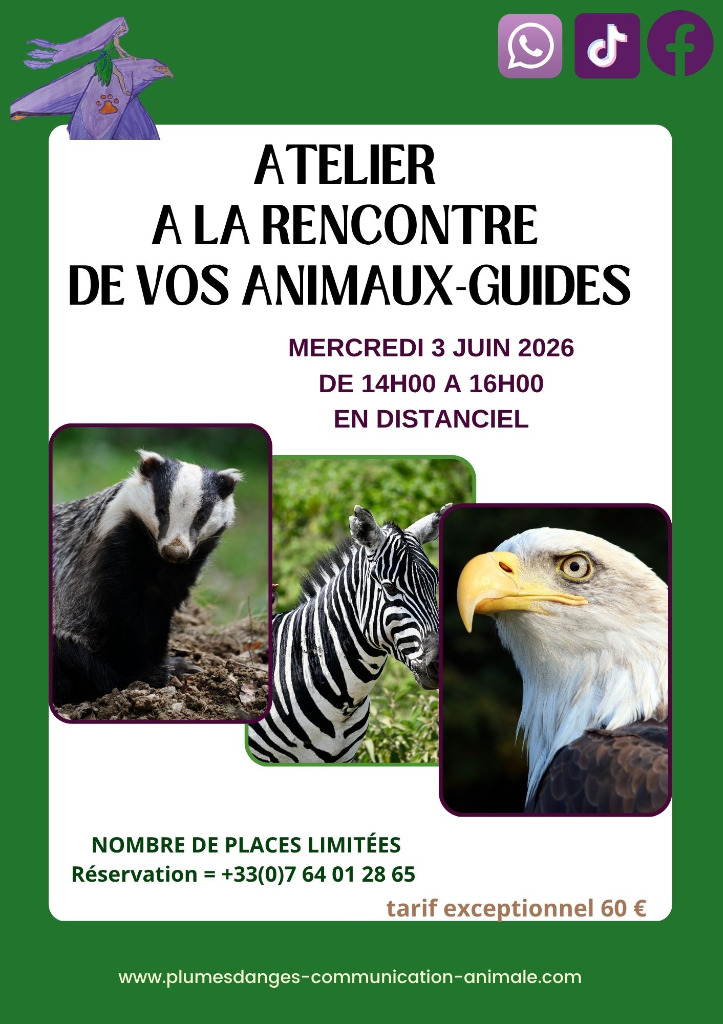 illustration Atelier à la rencontre de vos animaux-guides