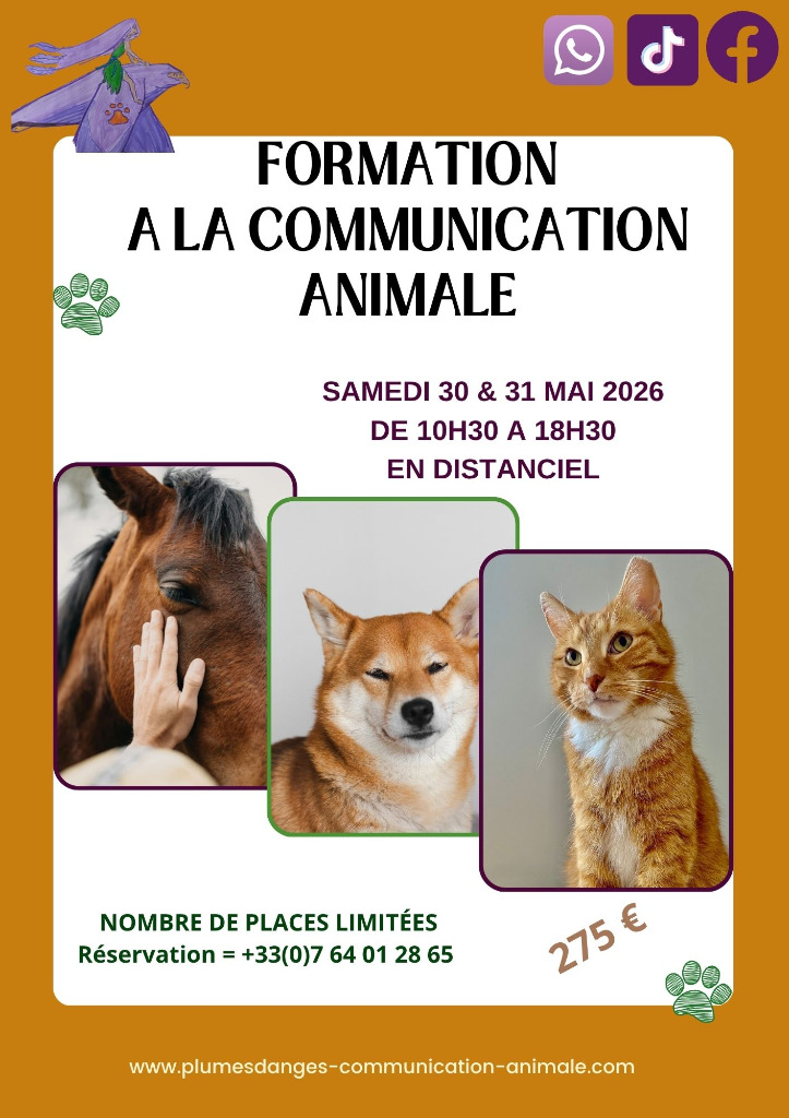 illustration Prochaine session de formation à la communication animale