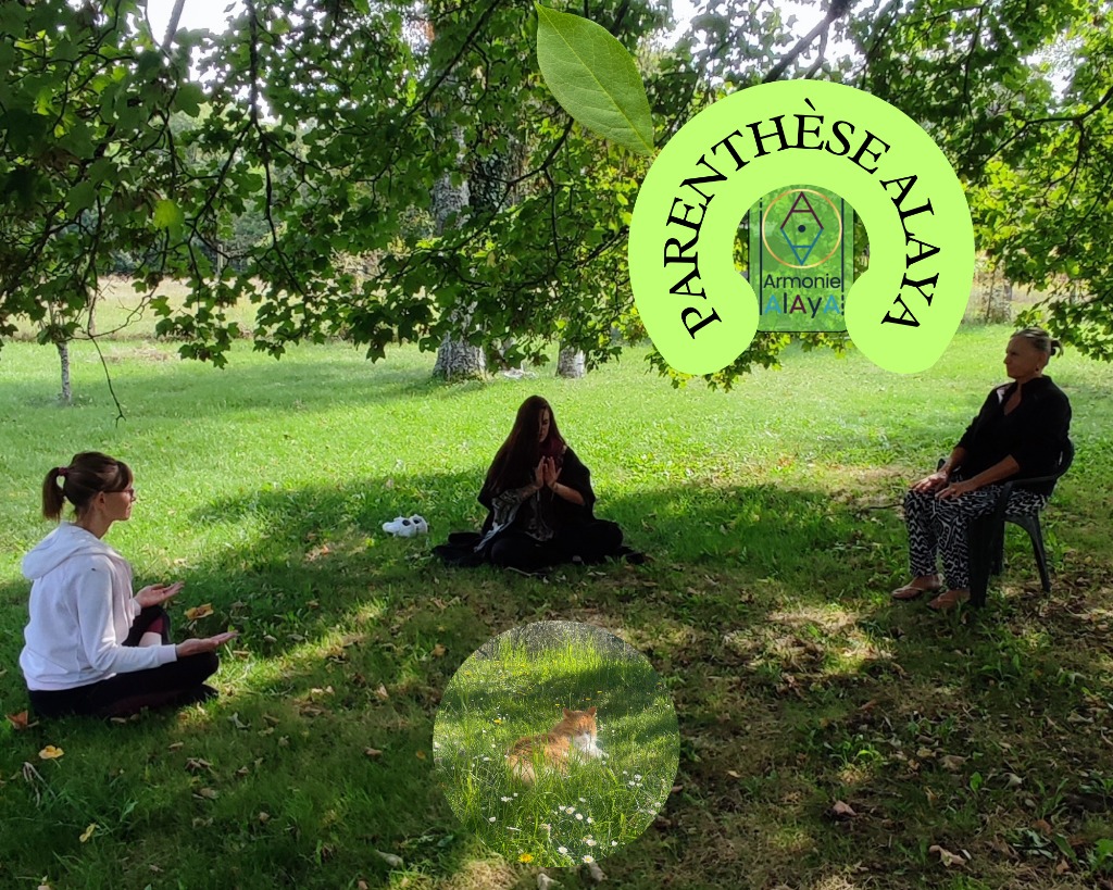 illustration Parenthèse AlAyA le 23 mai 2026
