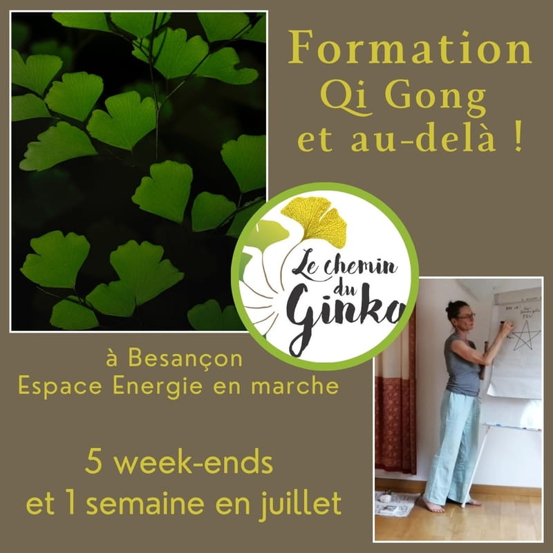 illustration 3 formes essentielles en formation Qi Gong et au-delà !