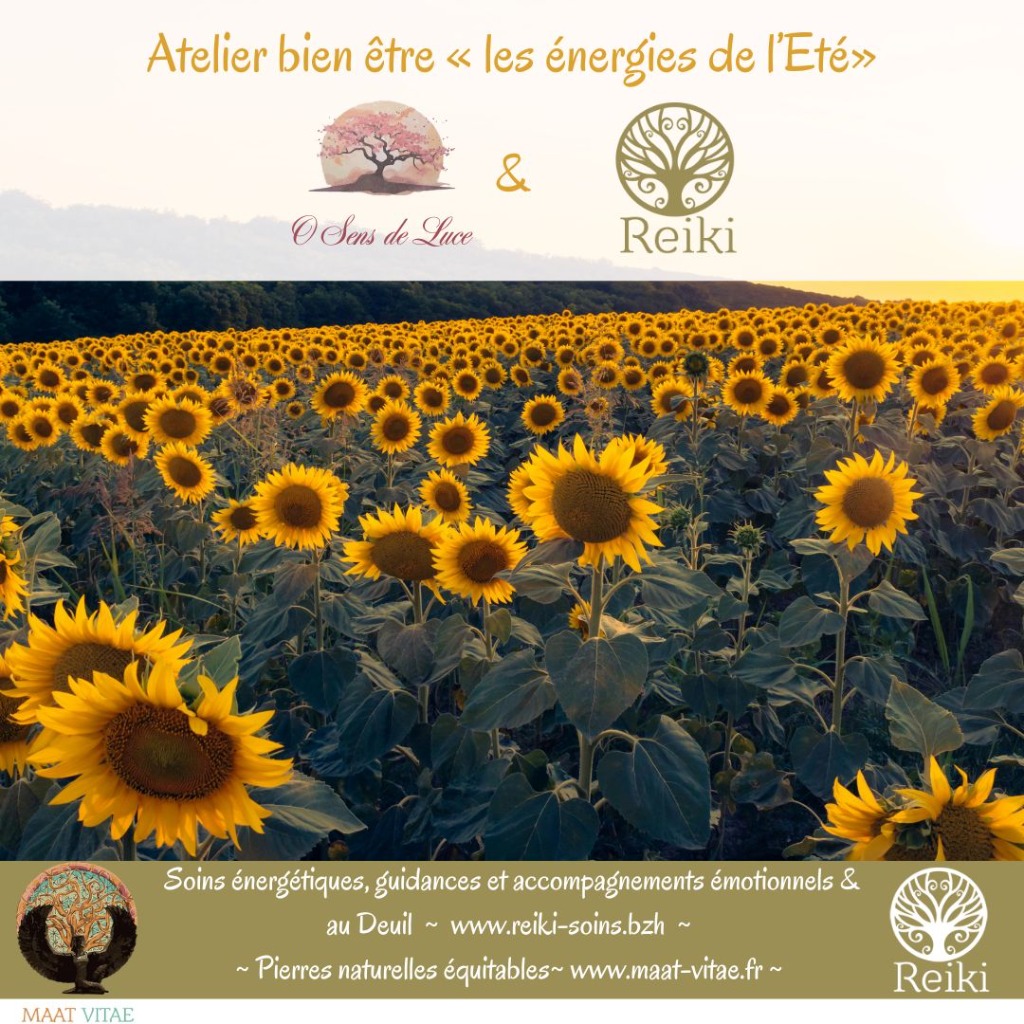 illustration Atelier sur les énergies de l'été