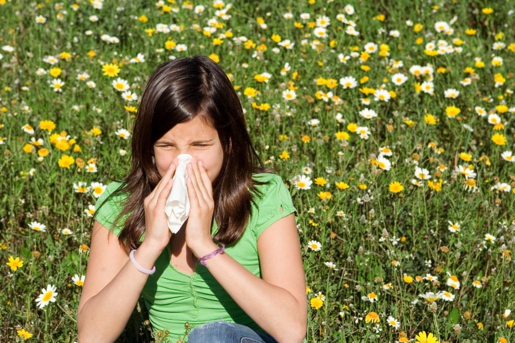 illustration Les allergies saisonnières