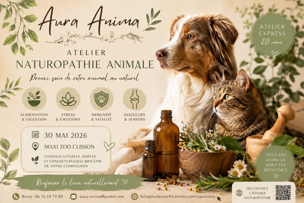 illustration 🌿 Atelier Naturopathie Animale – Prenez soin de votre compagnon au naturel !