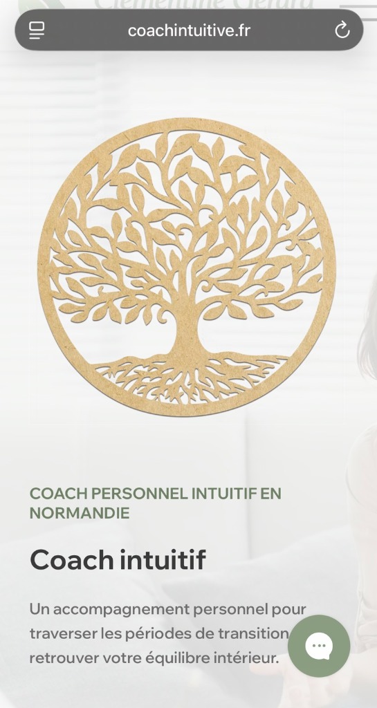 illustration RETROUVE DE LA CLARTE DANS TES EMOTIONS !