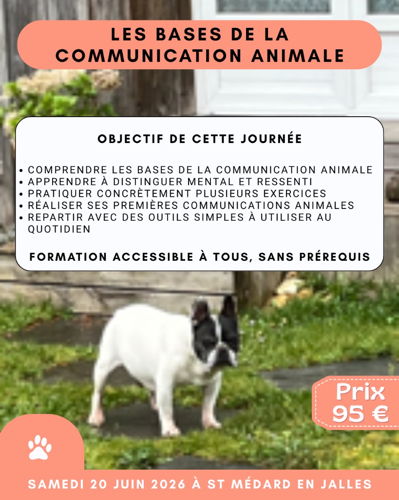 illustration Les bases de la communication animale