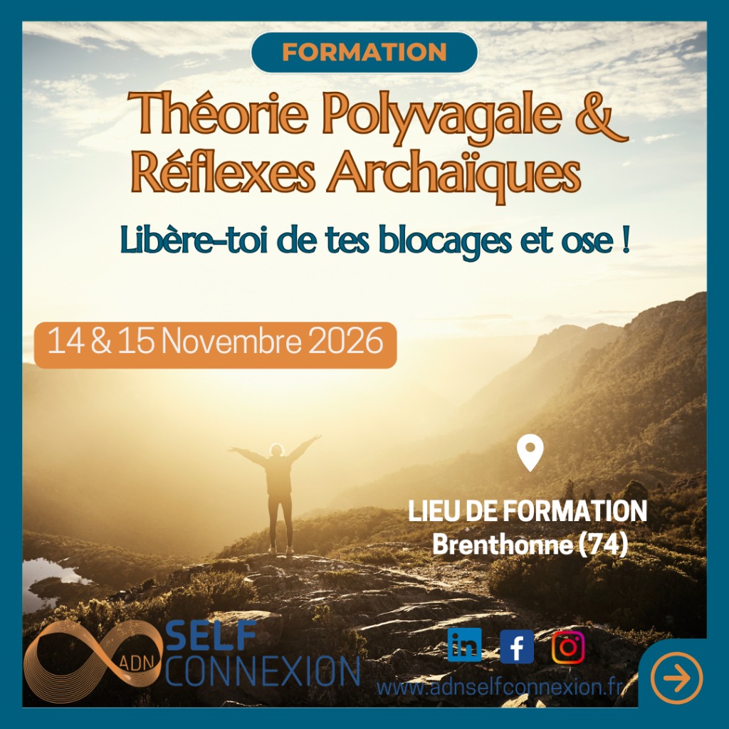 illustration Libère-Toi de tes blocages et ose! Théorie Polyvagale et Réflexes Archaïques