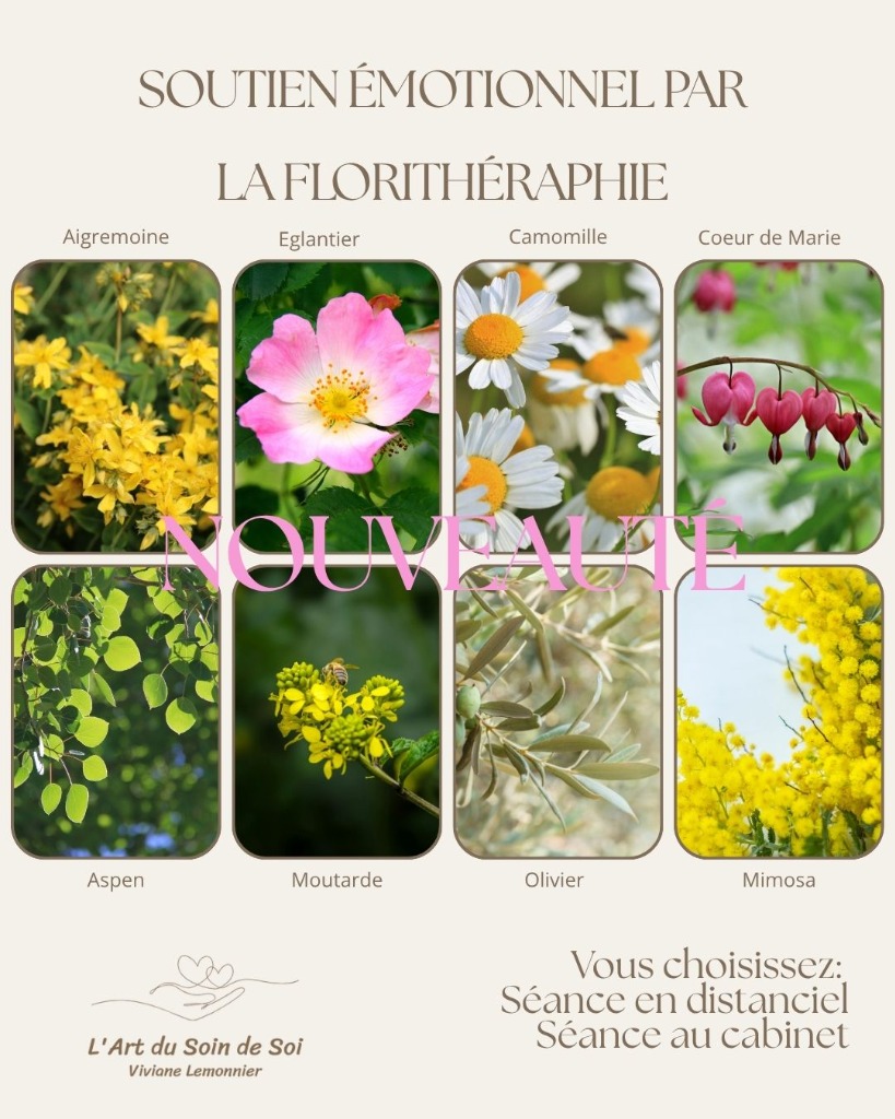 illustration Soutien émotionnel par la Florithérapie