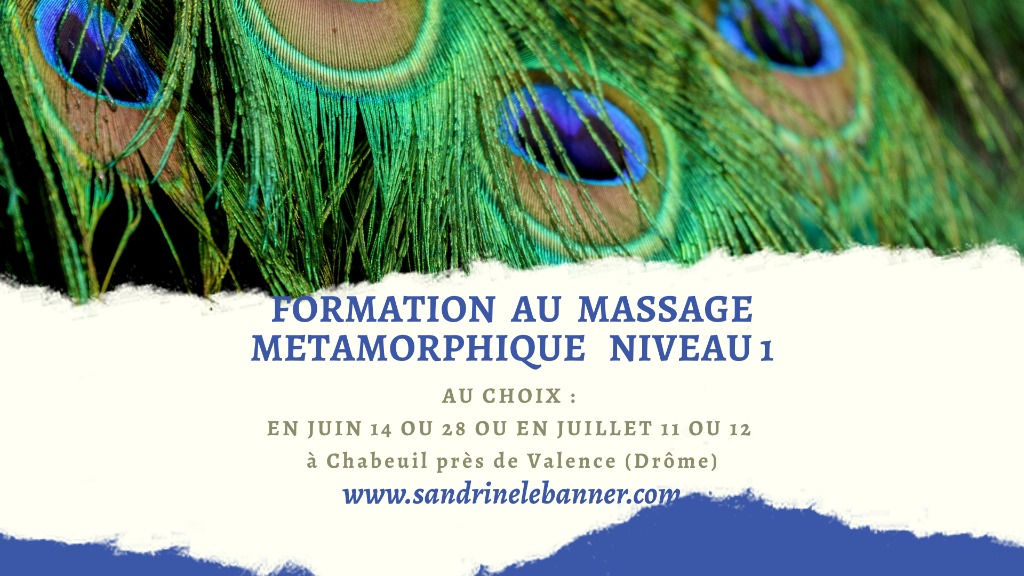 illustration Formation au Massage Métamorphique