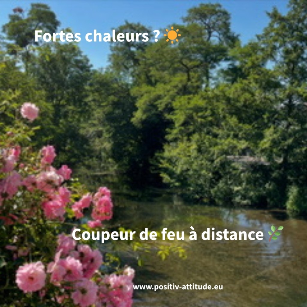 illustration Accompagnement coupeur de feu à distance – Strasbourg