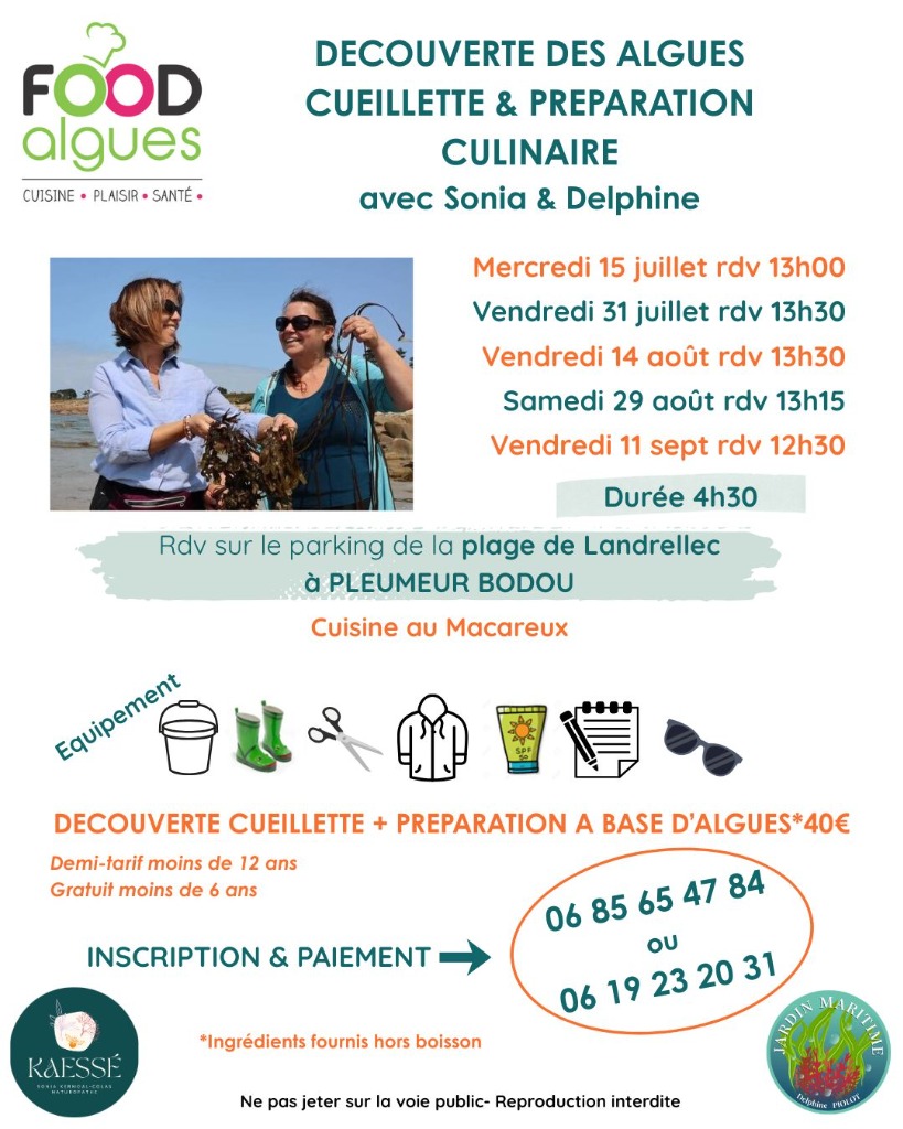 illustration Sorties Algues cueillette et cuisine à Landrellec Côte de Granit Rose