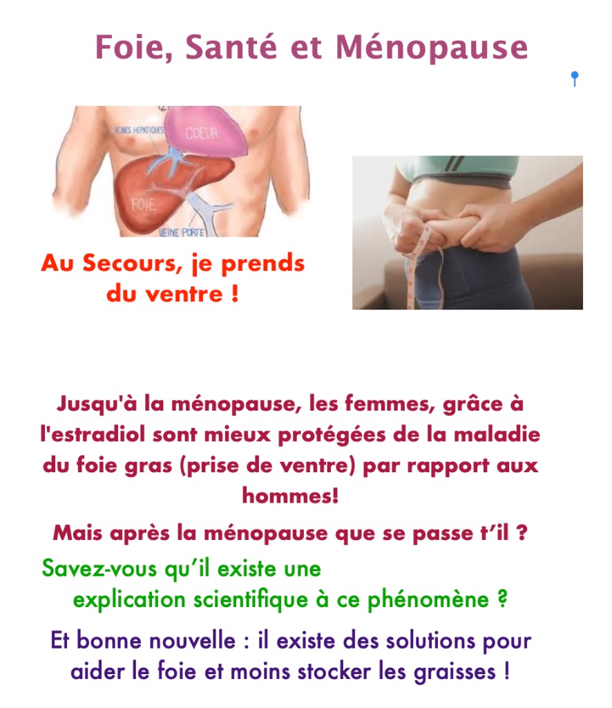 illustration Foie Prise de poids et Ménopause