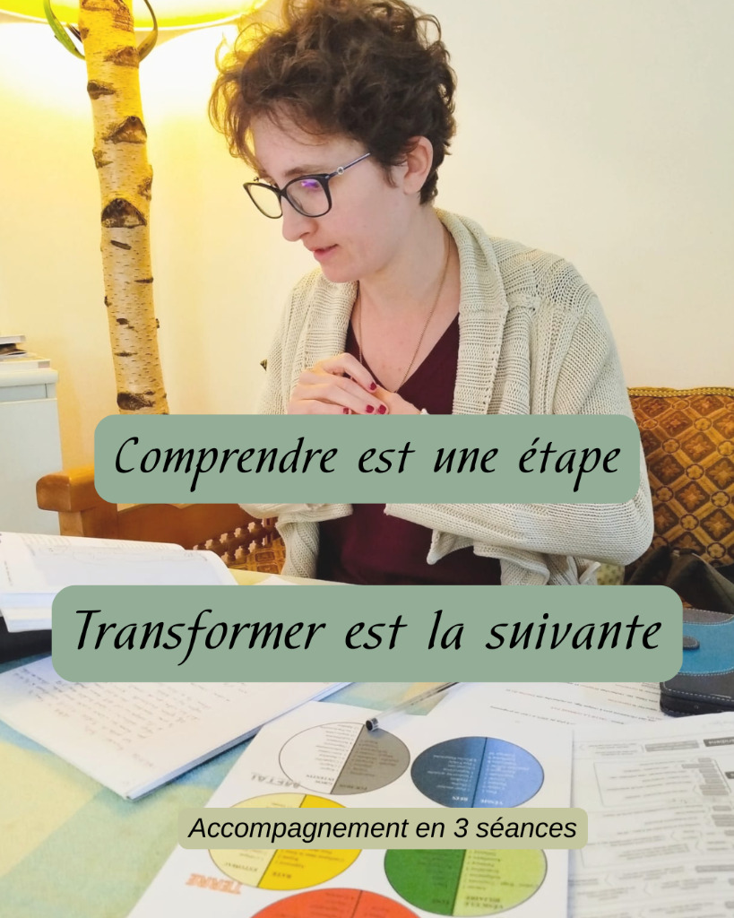 illustration Vous comprenez vos blocages... mais ils sont toujours là ?