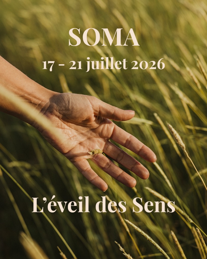 illustration Cercle SOMA