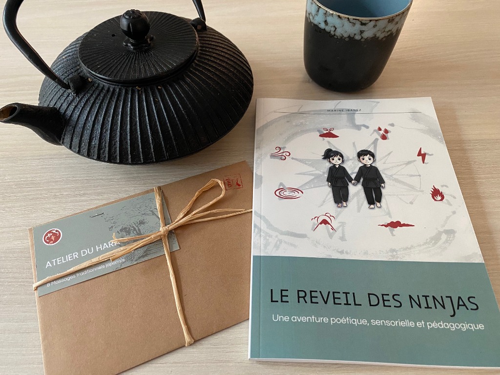 illustration "Le Réveil des Ninjas" : l'album jeunesse désormais disponible en e-book !