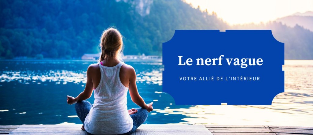 illustration Le nerf vague, votre allié de l'intérieur