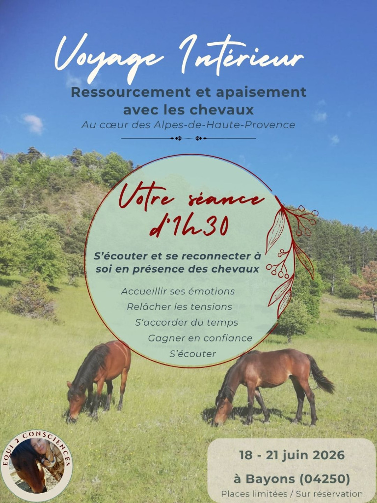 illustration Voyage Intérieur - Ressourcement guidé par le cheval